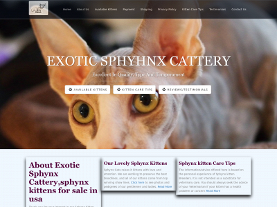 exoticsphynxcattery.com snapshot