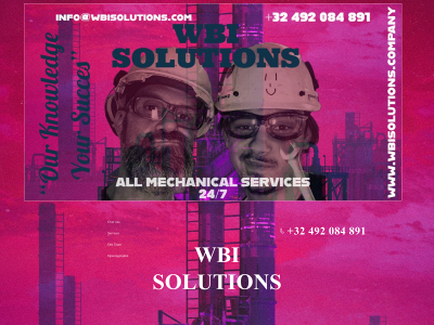 wbisolutions.company snapshot