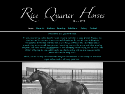 ricequarterhorses.com snapshot