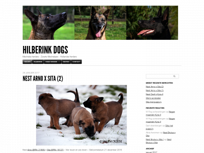 hilberink-dogs.nl snapshot