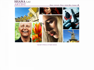 shanalai.com snapshot