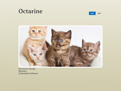 octarine.org.uk snapshot