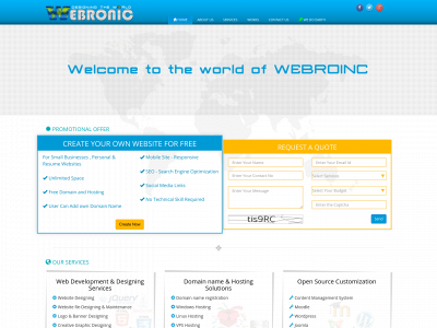 webronic.com snapshot