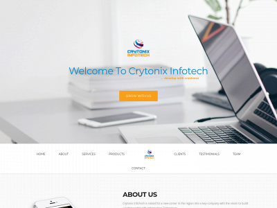 crytonixinfotech.com snapshot