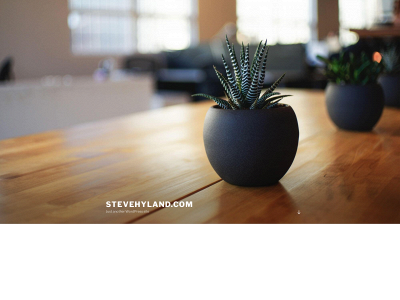 stevehyland.com snapshot