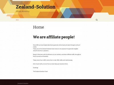 zealand-solution.com snapshot