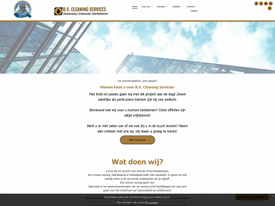 rvcleaningservices.nl snapshot