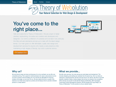 theoryofwebolution.com snapshot