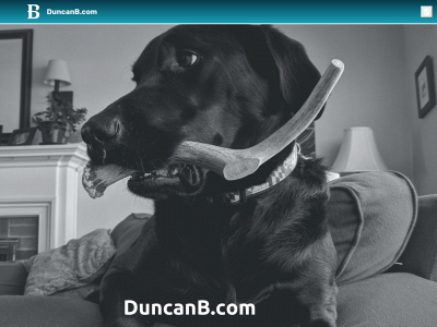 duncanb.com snapshot