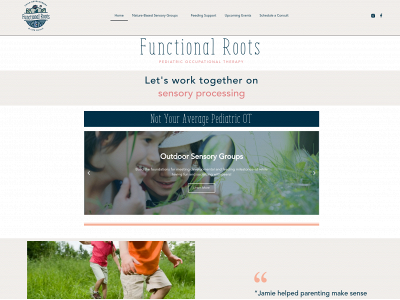 functional-roots.com snapshot