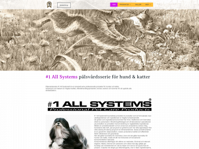 allsystems.se snapshot