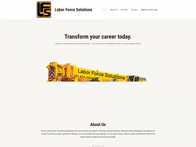 laborforcesolution.com snapshot