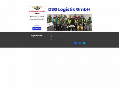 dsglogistik.com snapshot