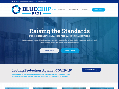 bluechip-pros.com snapshot
