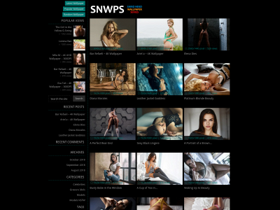 snwps.com snapshot