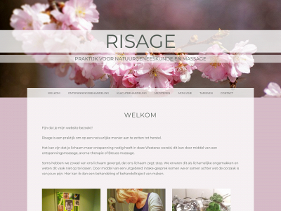 risage.info snapshot