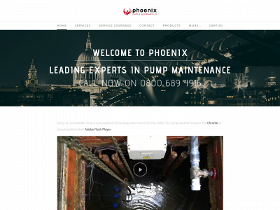 www.phoenix-maintenance.com snapshot