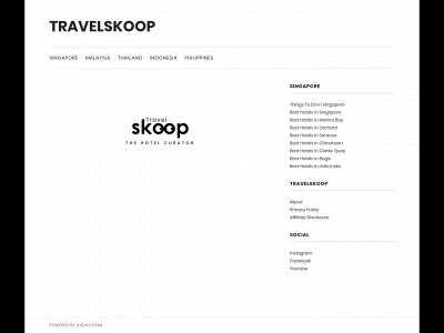travelskoop.com snapshot