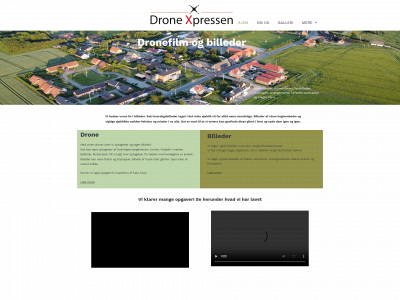 dronexpressen.dk snapshot