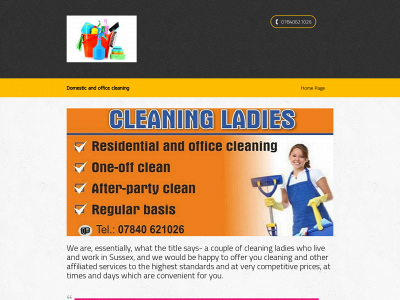 cleaning-ladies.co.uk snapshot