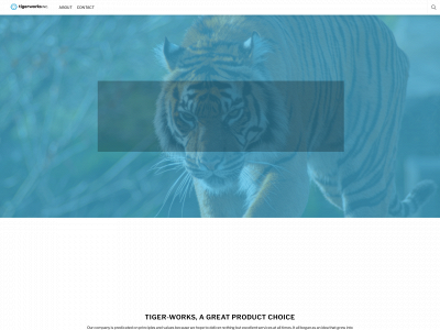 tiger-works.com snapshot