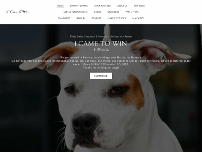 i-came-to-win.weebly.com snapshot