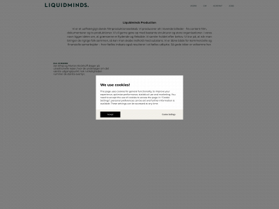liquidmindsproduction.com snapshot