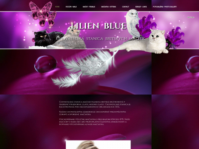 lilien-blue.eu snapshot