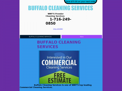 www.bflocleaningservices.com snapshot