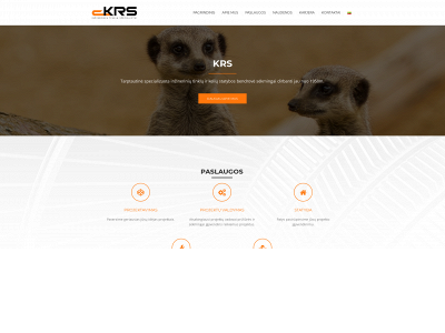 krs-group.com snapshot