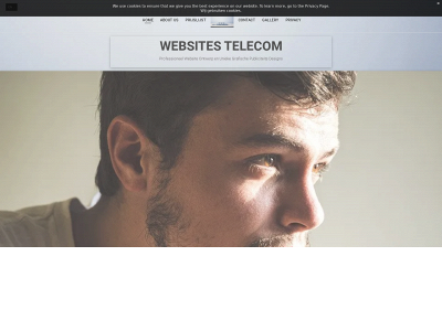 websitestelecom.nl snapshot