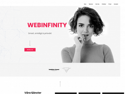 webinfinity.se snapshot