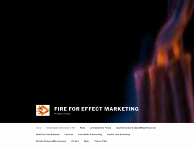 fireforeffectffe.com snapshot