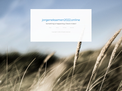 jorgeneksamen2022.online snapshot