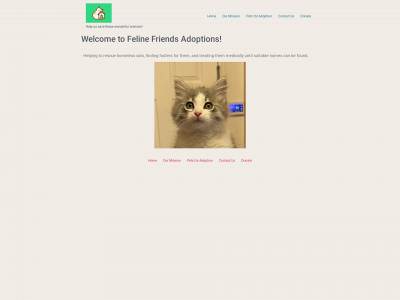 felinefriendsadoptions.com snapshot