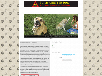 www.buildabetterdog.com snapshot