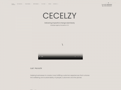 cecelzy.com snapshot