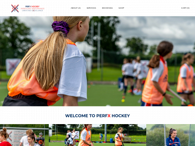 www.perfxhockey.co.uk snapshot