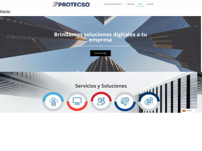 protecso.com.pe snapshot