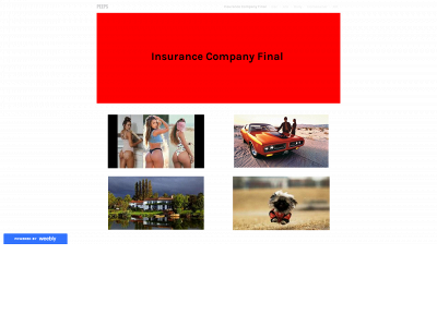 insurancecompanyprojectfinals.weebly.com snapshot