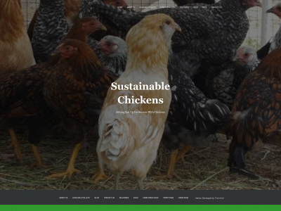 sustainablechickens.com snapshot