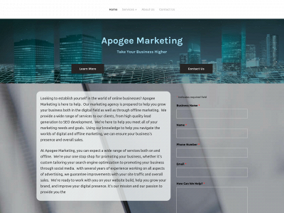 www.apogeemarketing.info snapshot