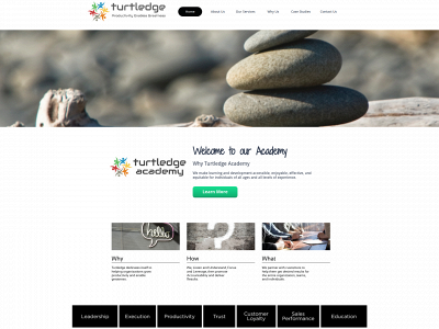 turtledge.com snapshot
