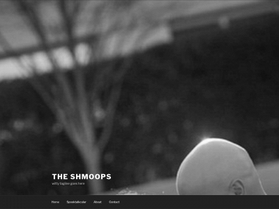 theshmoops.com snapshot