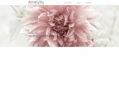amaryllis-rijkevorsel.be snapshot