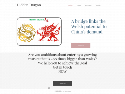 hidden--dragon.com snapshot