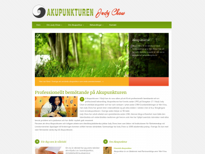 akupunkturen.info snapshot