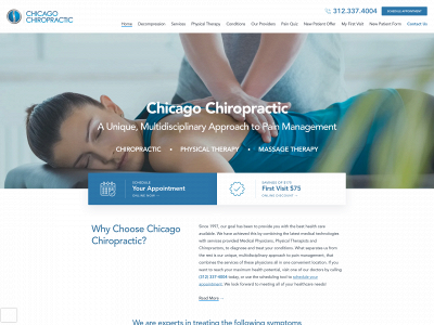 chicago-chiropractic.com snapshot