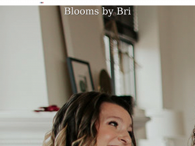 bloomsbybri.com snapshot