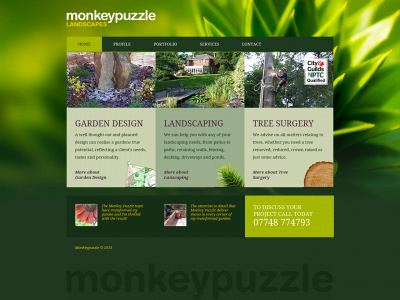 monkeypuzzlelandscapes.co.uk snapshot
